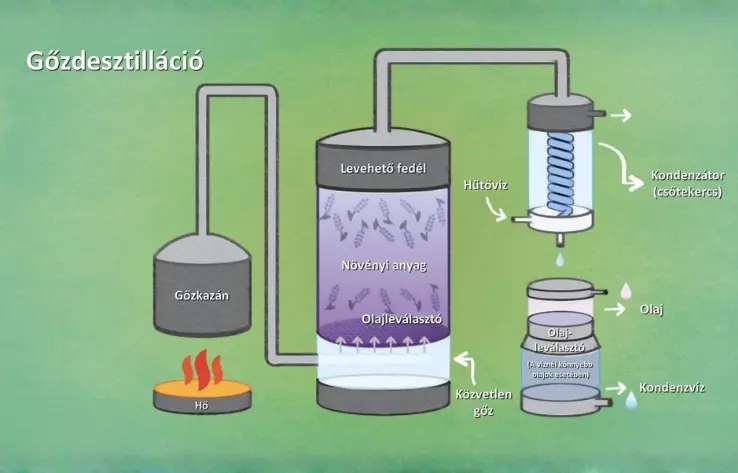 Gőzdesztilláció