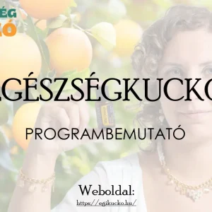 Programbemutató videó