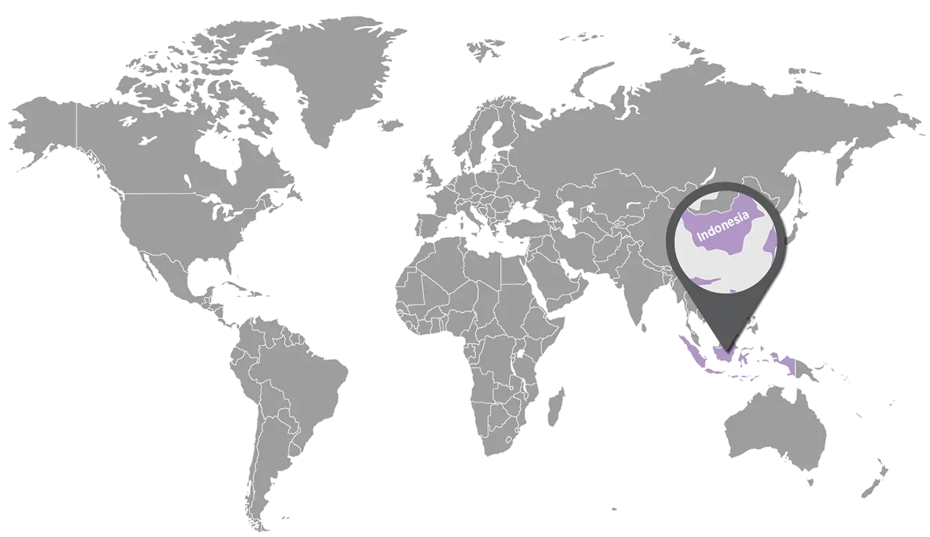 patchouli-map-1350x780-eu